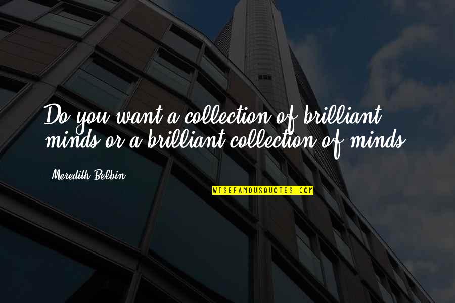 A Brilliant Mind Quotes By Meredith Belbin: Do you want a collection of brilliant minds