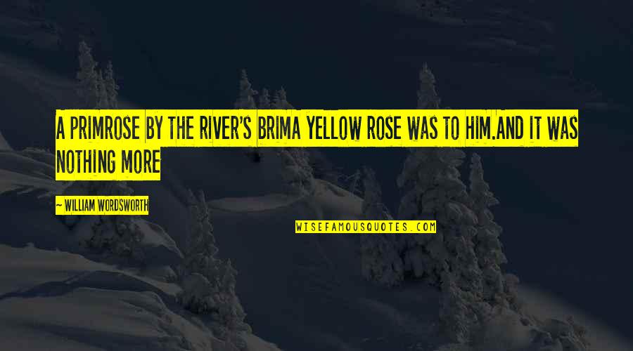 A Brim Quotes By William Wordsworth: A primrose by the river's brimA yellow rose
