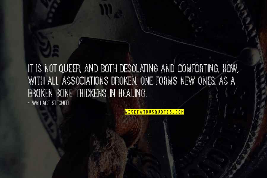 A Broken Friendship Quotes By Wallace Stegner: It is not queer, and both desolating and