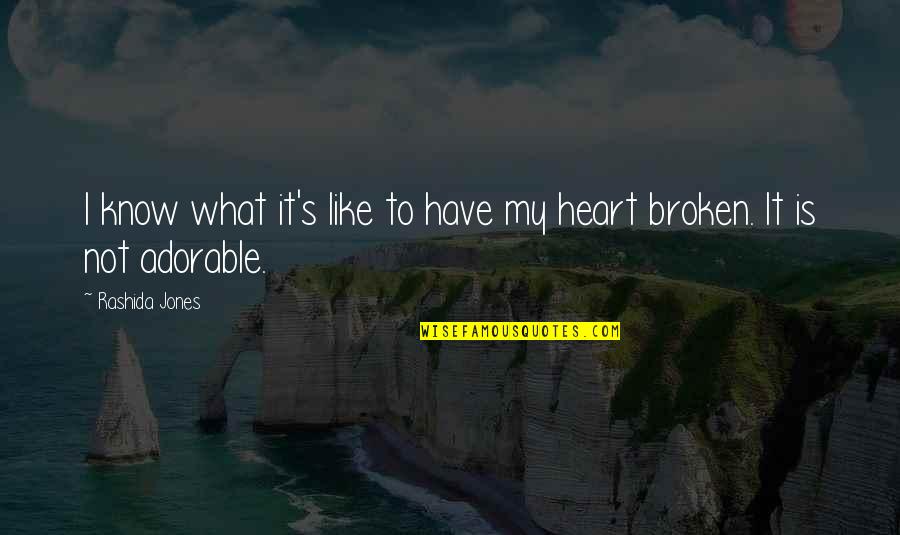 A Broken Heart Is Like Quotes By Rashida Jones: I know what it's like to have my