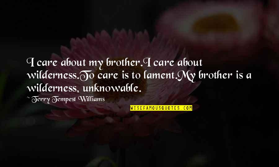 A Brother Is Quotes By Terry Tempest Williams: I care about my brother.I care about wilderness.To