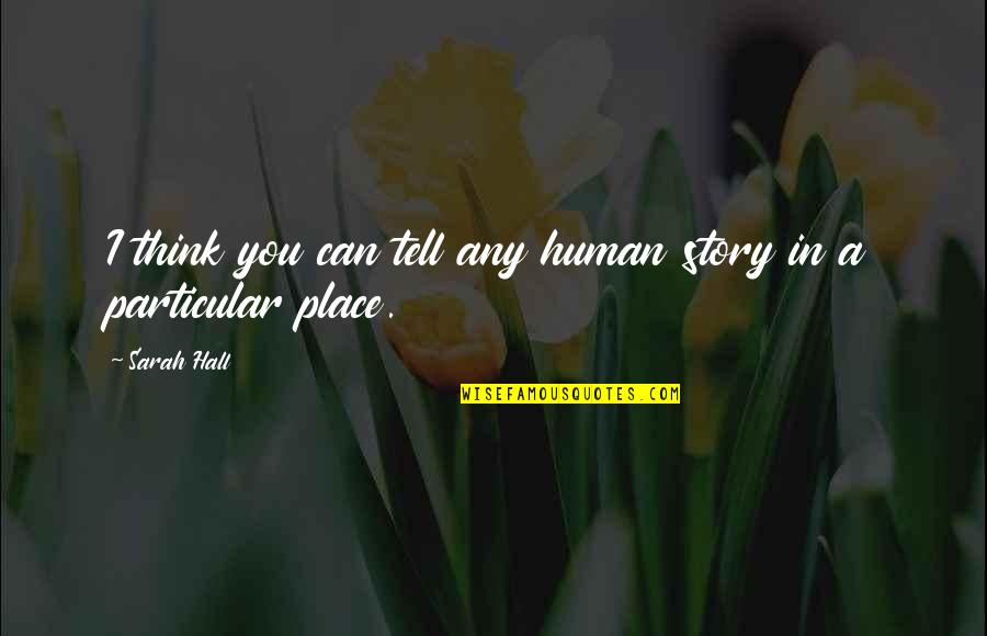 A Brother Who Has Passed Away Quotes By Sarah Hall: I think you can tell any human story