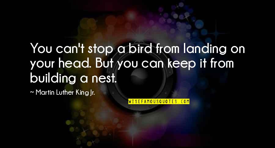 A Building Quotes By Martin Luther King Jr.: You can't stop a bird from landing on