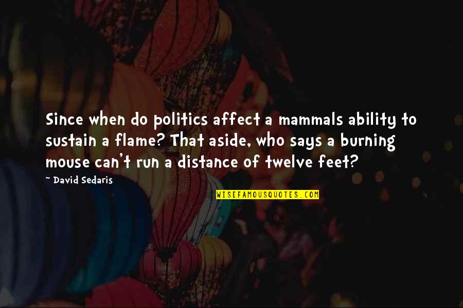 A Burning Quotes By David Sedaris: Since when do politics affect a mammals ability