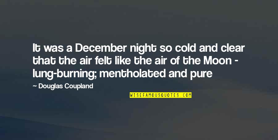 A Burning Quotes By Douglas Coupland: It was a December night so cold and