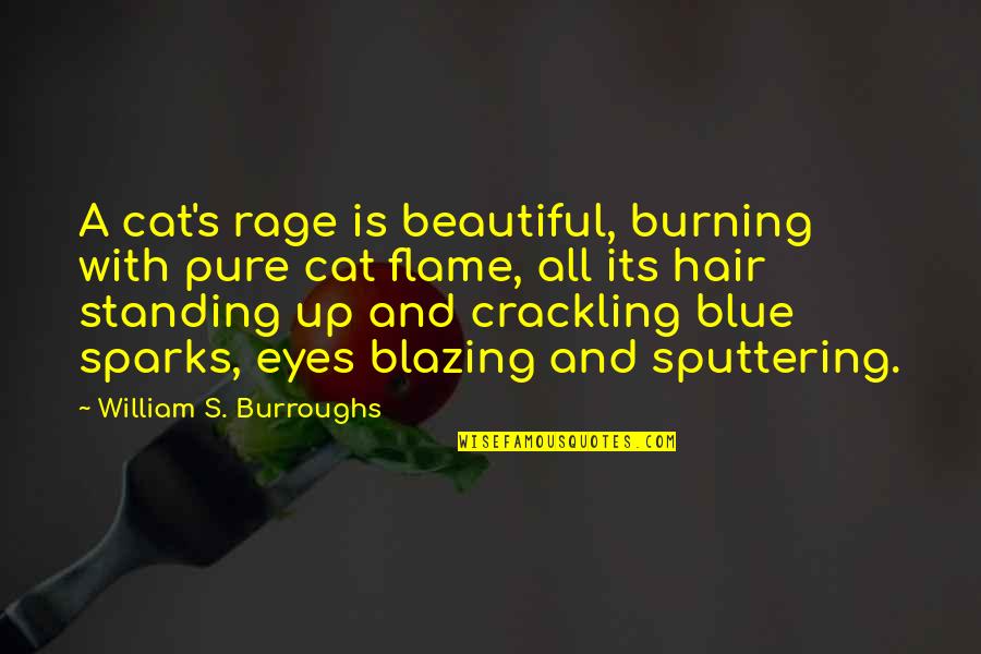 A Burning Quotes By William S. Burroughs: A cat's rage is beautiful, burning with pure