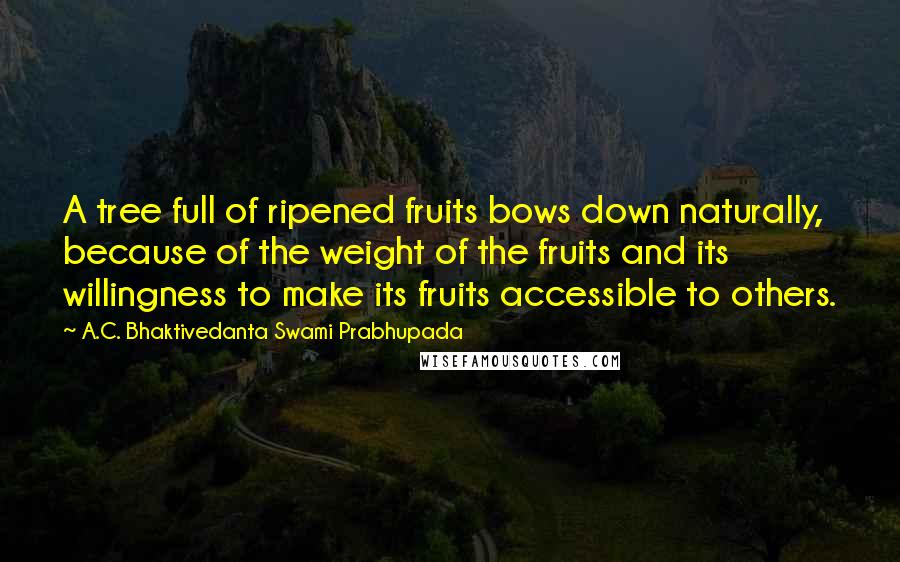 A.C. Bhaktivedanta Swami Prabhupada quotes: A tree full of ripened fruits bows down naturally, because of the weight of the fruits and its willingness to make its fruits accessible to others.