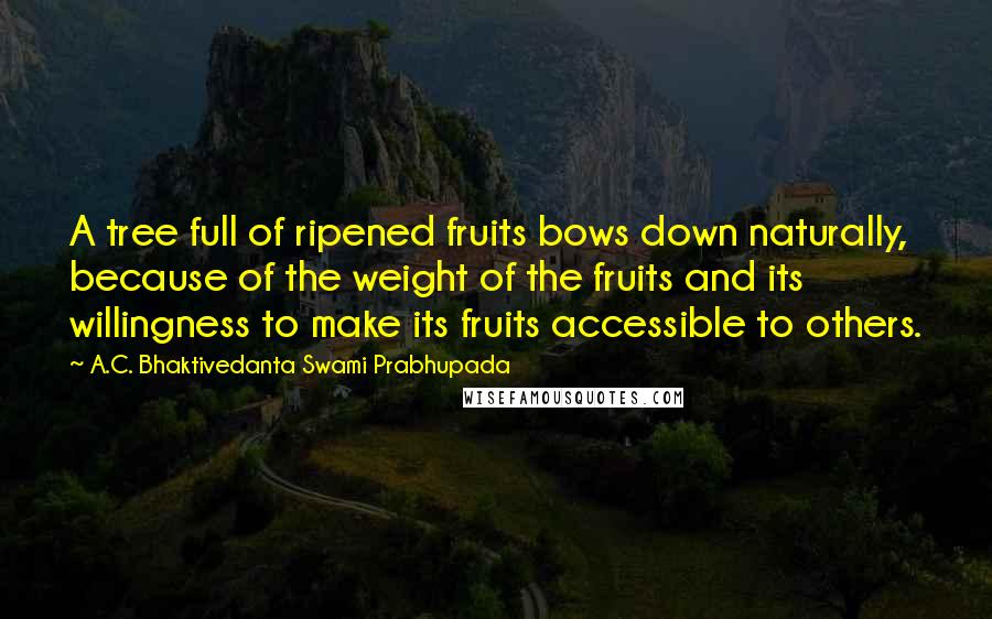 A.C. Bhaktivedanta Swami Prabhupada quotes: A tree full of ripened fruits bows down naturally, because of the weight of the fruits and its willingness to make its fruits accessible to others. A.C. Bhaktivedanta Swami Prabhupada quotes: A tree full of ripened fruits bows down naturally, because of the weight of the fruits and its willingness to make its fruits accessible to others.
