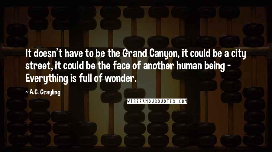 A.C. Grayling quotes: It doesn't have to be the Grand Canyon, it could be a city street, it could be the face of another human being - Everything is full of wonder.