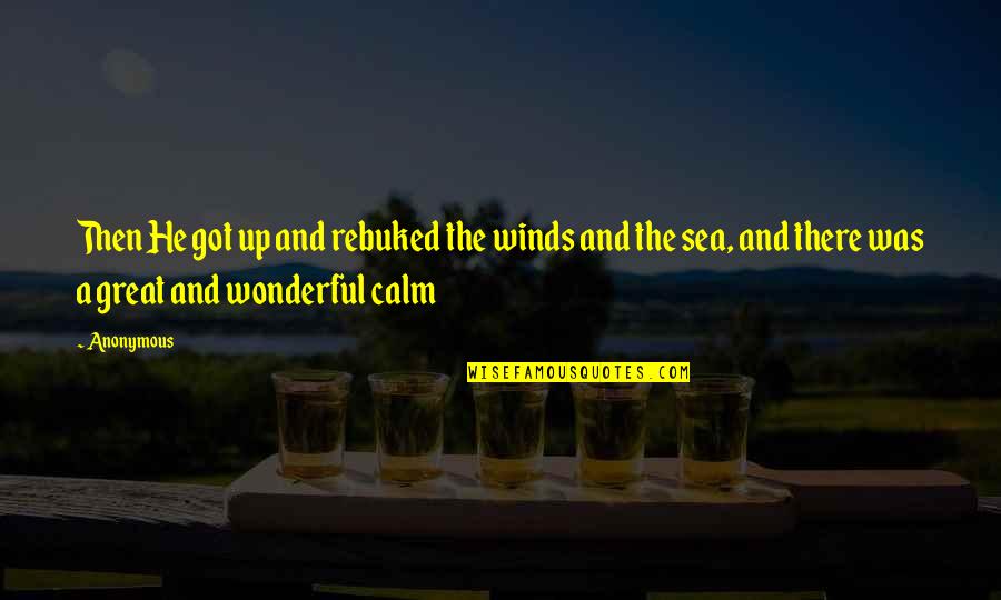 A Calm Sea Quotes By Anonymous: Then He got up and rebuked the winds