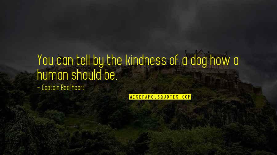 A Captain Quotes By Captain Beefheart: You can tell by the kindness of a A Captain Quotes By Captain Beefheart: You can tell by the kindness of a