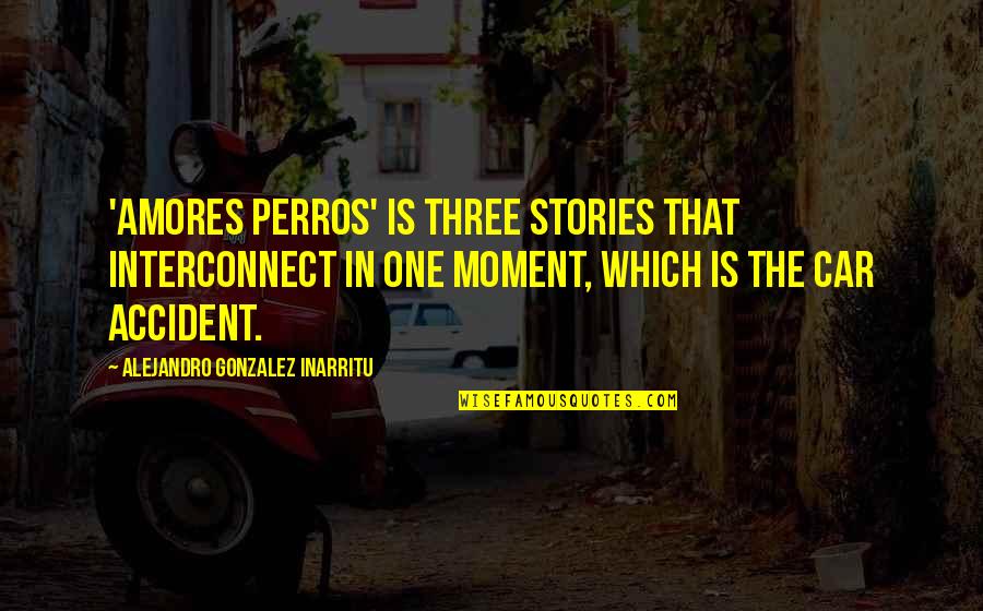 A Car Accident Quotes By Alejandro Gonzalez Inarritu: 'Amores Perros' is three stories that interconnect in