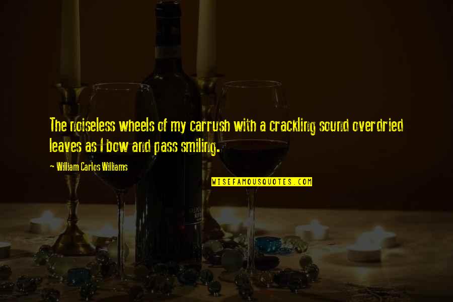 A Car Quotes By William Carlos Williams: The noiseless wheels of my carrush with a