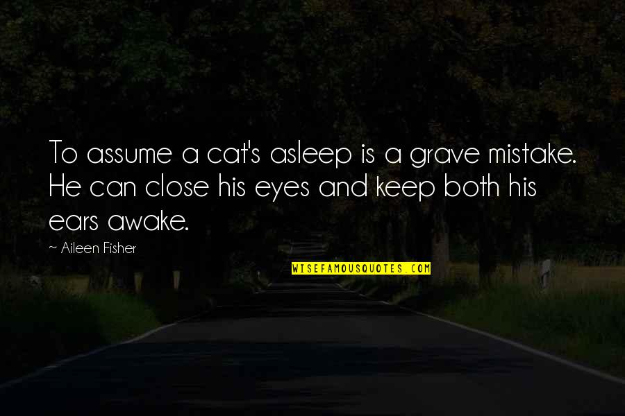A Cat Quotes By Aileen Fisher: To assume a cat's asleep is a grave