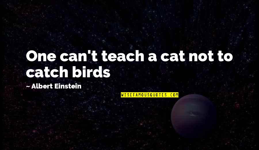 A Cat Quotes By Albert Einstein: One can't teach a cat not to catch