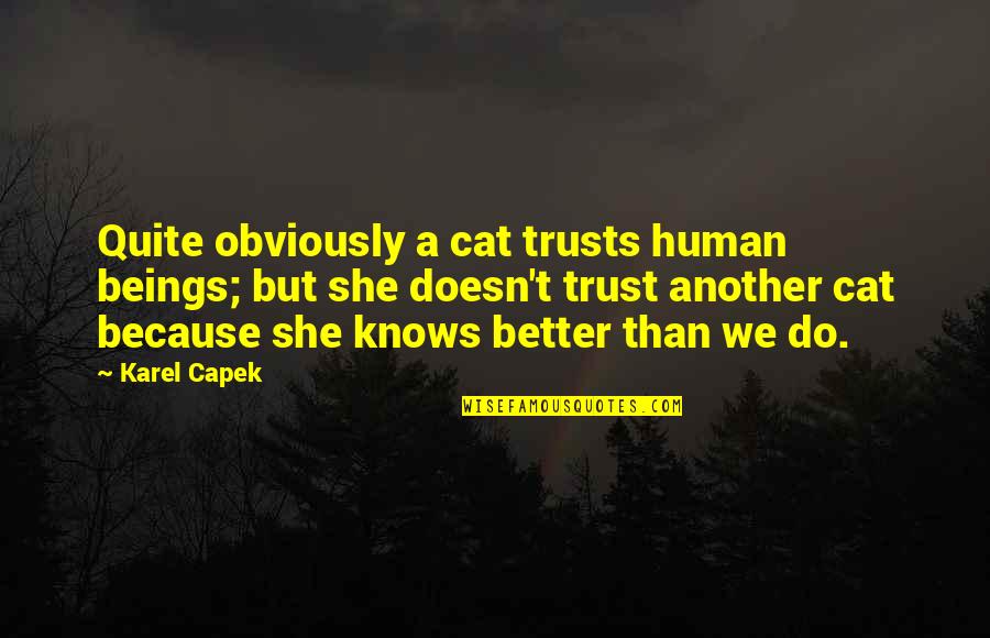 A Cat Quotes By Karel Capek: Quite obviously a cat trusts human beings; but
