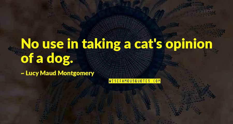 A Cat Quotes By Lucy Maud Montgomery: No use in taking a cat's opinion of