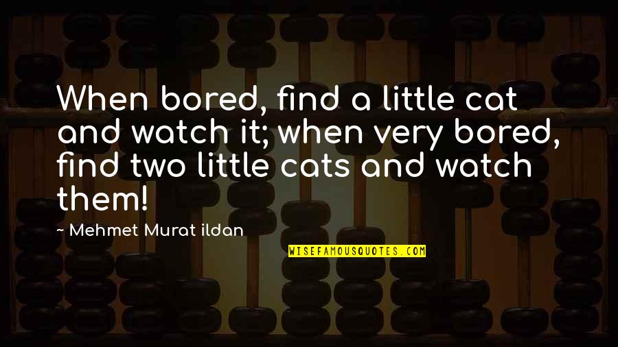 A Cat Quotes By Mehmet Murat Ildan: When bored, find a little cat and watch