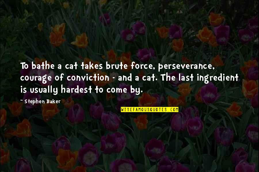 A Cat Quotes By Stephen Baker: To bathe a cat takes brute force, perseverance,