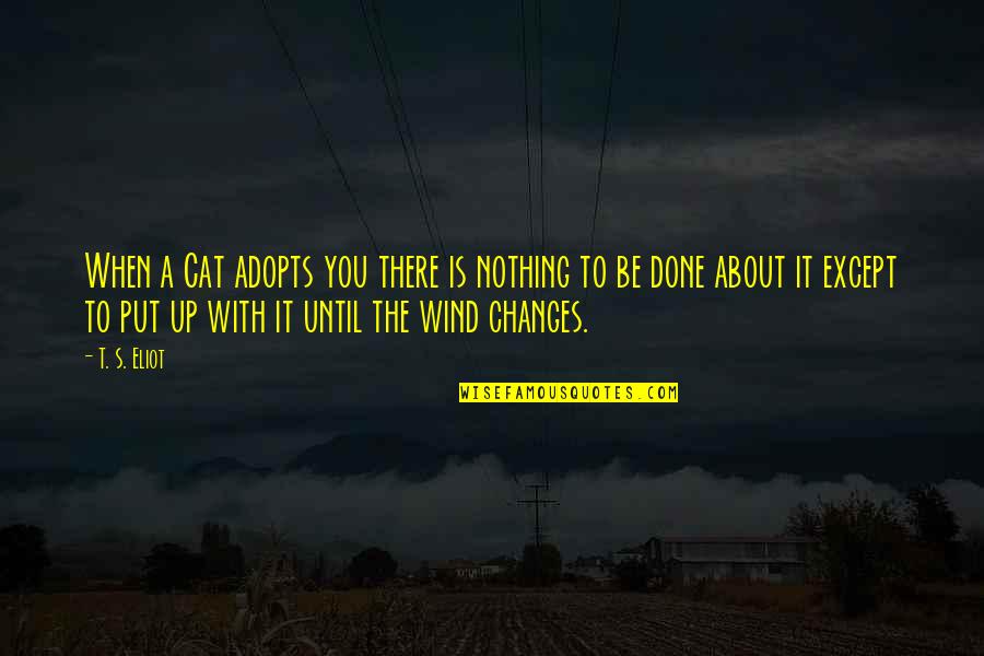 A Cat Quotes By T. S. Eliot: When a Cat adopts you there is nothing