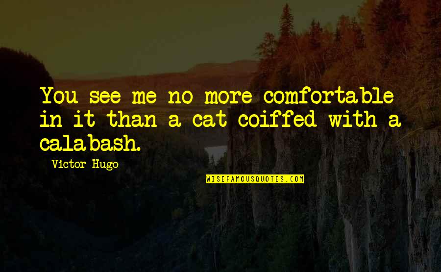 A Cat Quotes By Victor Hugo: You see me no more comfortable in it