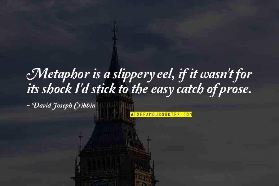 A Catch Quotes By David Joseph Cribbin: Metaphor is a slippery eel, if it wasn't