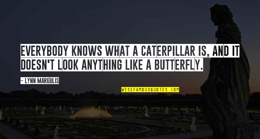 A Caterpillar Quotes By Lynn Margulis: Everybody knows what a caterpillar is, and it
