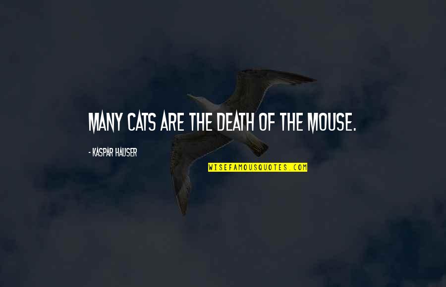 A Cats Death Quotes By Kaspar Hauser: Many cats are the death of the mouse.