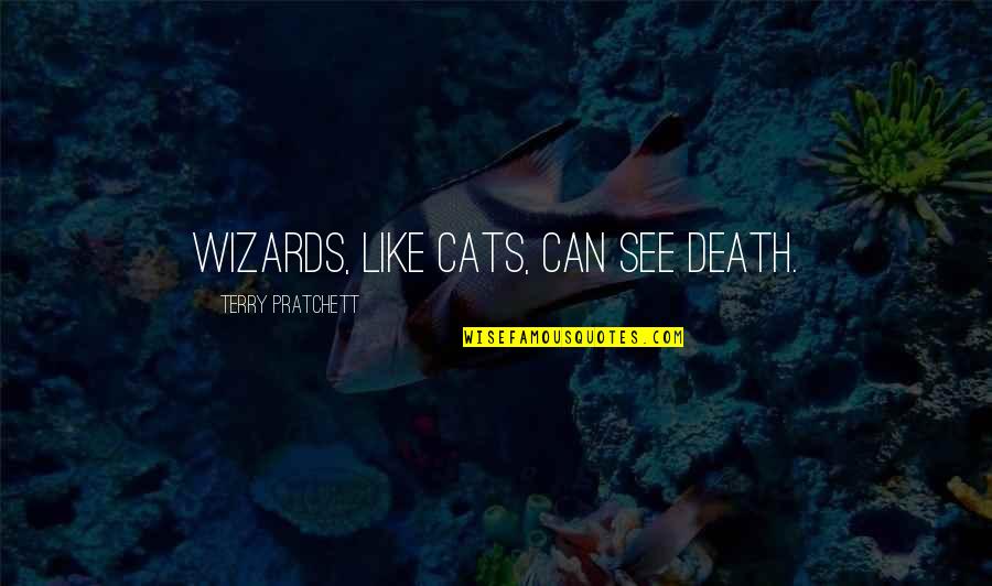 A Cats Death Quotes By Terry Pratchett: Wizards, like cats, can see Death.