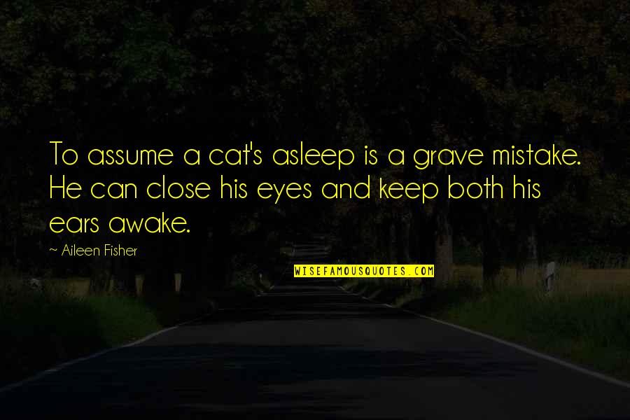 A Cat's Eyes Quotes By Aileen Fisher: To assume a cat's asleep is a grave