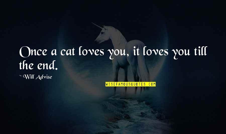 A Cats Love Quotes By Will Advise: Once a cat loves you, it loves you