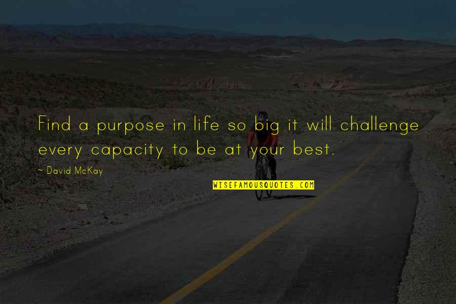 A Challenge In Life Quotes By David McKay: Find a purpose in life so big it