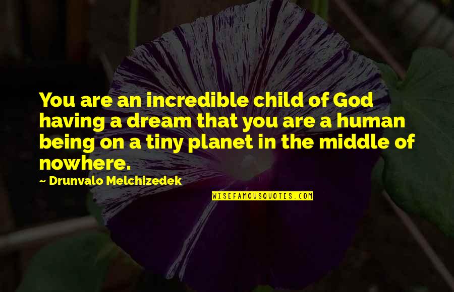 A Child's Dream Quotes By Drunvalo Melchizedek: You are an incredible child of God having