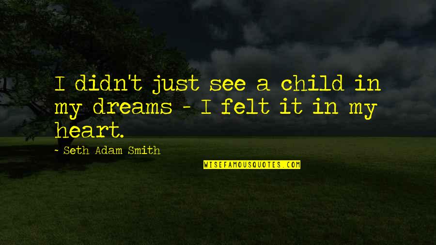 A Child's Dreams Quotes By Seth Adam Smith: I didn't just see a child in my