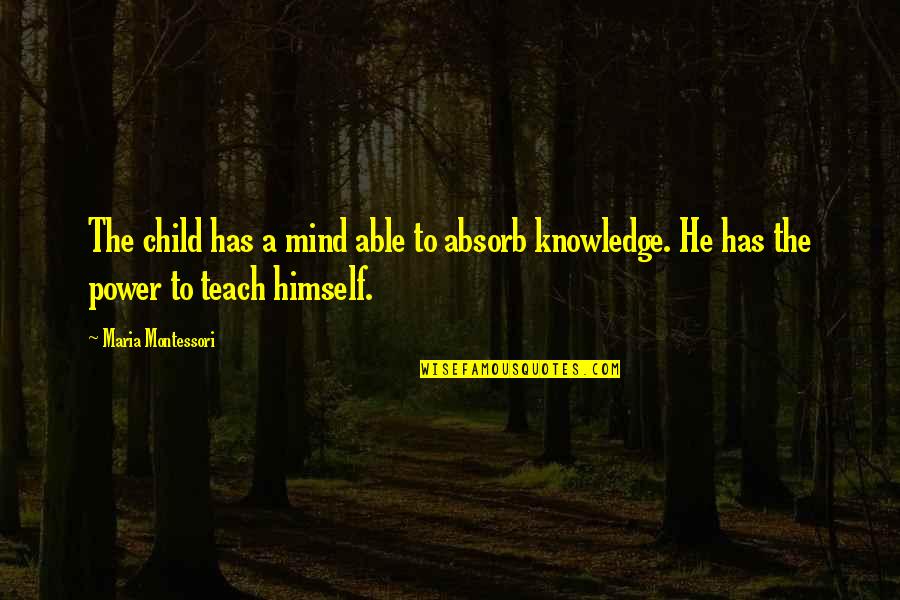 A Child's Mind Quotes By Maria Montessori: The child has a mind able to absorb