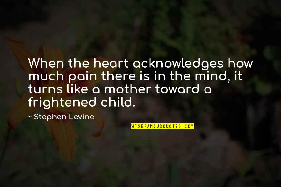 A Child's Mind Quotes By Stephen Levine: When the heart acknowledges how much pain there
