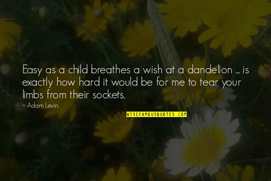 A Child's Wish Quotes By Adam Levin: Easy as a child breathes a wish at