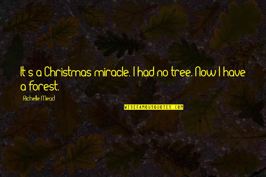 A Christmas Miracle Quotes By Richelle Mead: It's a Christmas miracle. I had no tree.