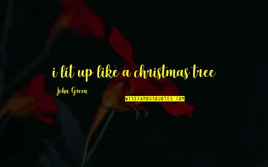 A Christmas Tree Quotes By John Green: i lit up like a christmas tree