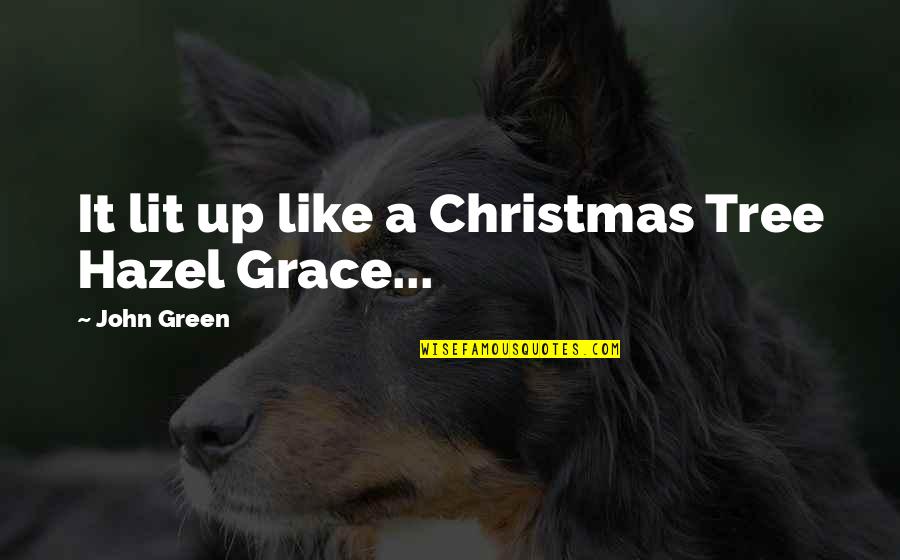 A Christmas Tree Quotes By John Green: It lit up like a Christmas Tree Hazel
