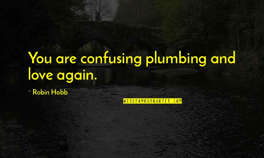 A Cidade Do Sol Quotes By Robin Hobb: You are confusing plumbing and love again.