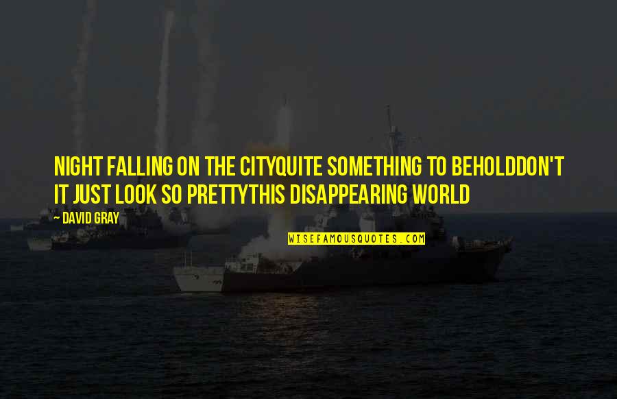 A City At Night Quotes By David Gray: Night falling on the cityQuite something to beholdDon't