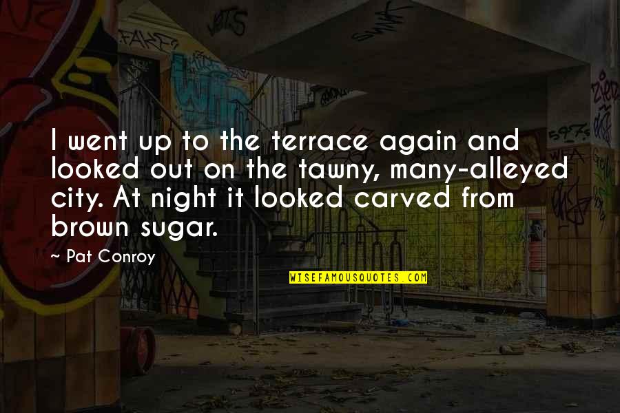 A City At Night Quotes By Pat Conroy: I went up to the terrace again and