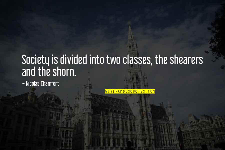 A Class Divided Quotes By Nicolas Chamfort: Society is divided into two classes, the shearers