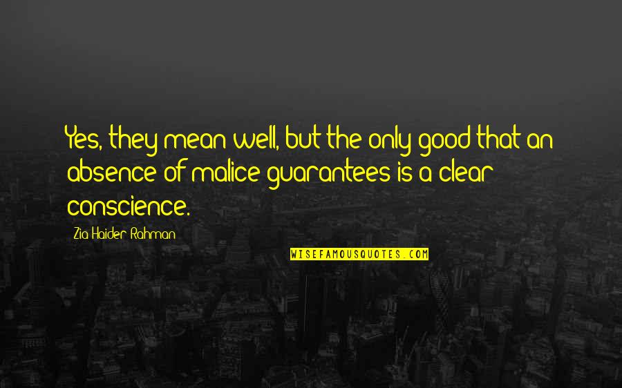 A Clear Conscience Quotes By Zia Haider Rahman: Yes, they mean well, but the only good