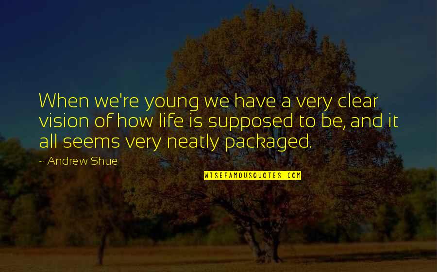 A Clear Vision Quotes By Andrew Shue: When we're young we have a very clear