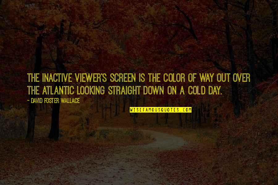 A Cold Day Quotes By David Foster Wallace: The inactive viewer's screen is the color of A Cold Day Quotes By David Foster Wallace: The inactive viewer's screen is the color of