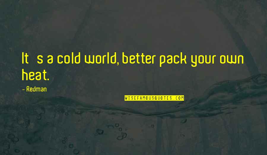 A Cold World Quotes By Redman: It's a cold world, better pack your own