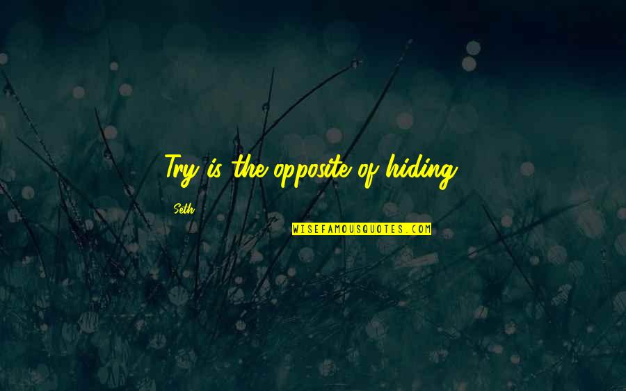 A Completely Black Quotes By Seth: Try is the opposite of hiding.