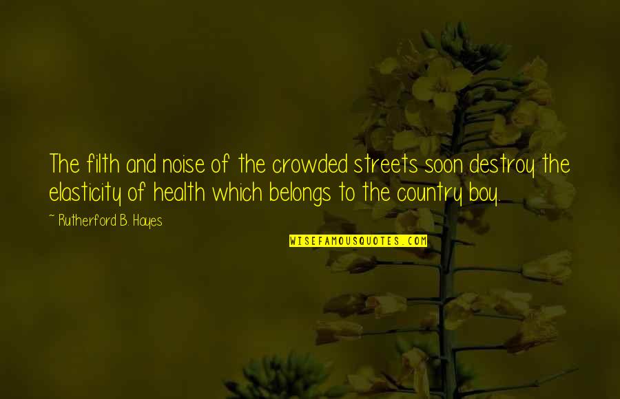 A Country Boy Quotes By Rutherford B. Hayes: The filth and noise of the crowded streets